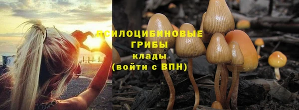 гидра Лагань
