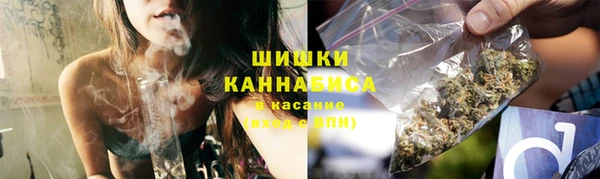 гидра Лагань