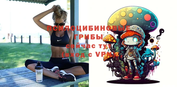 mix Лабытнанги