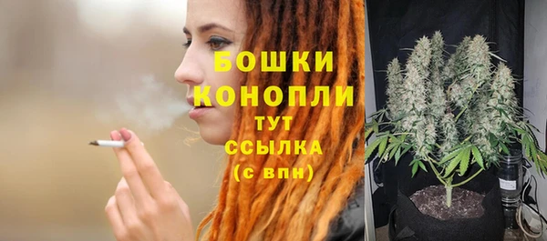 гидра Лагань